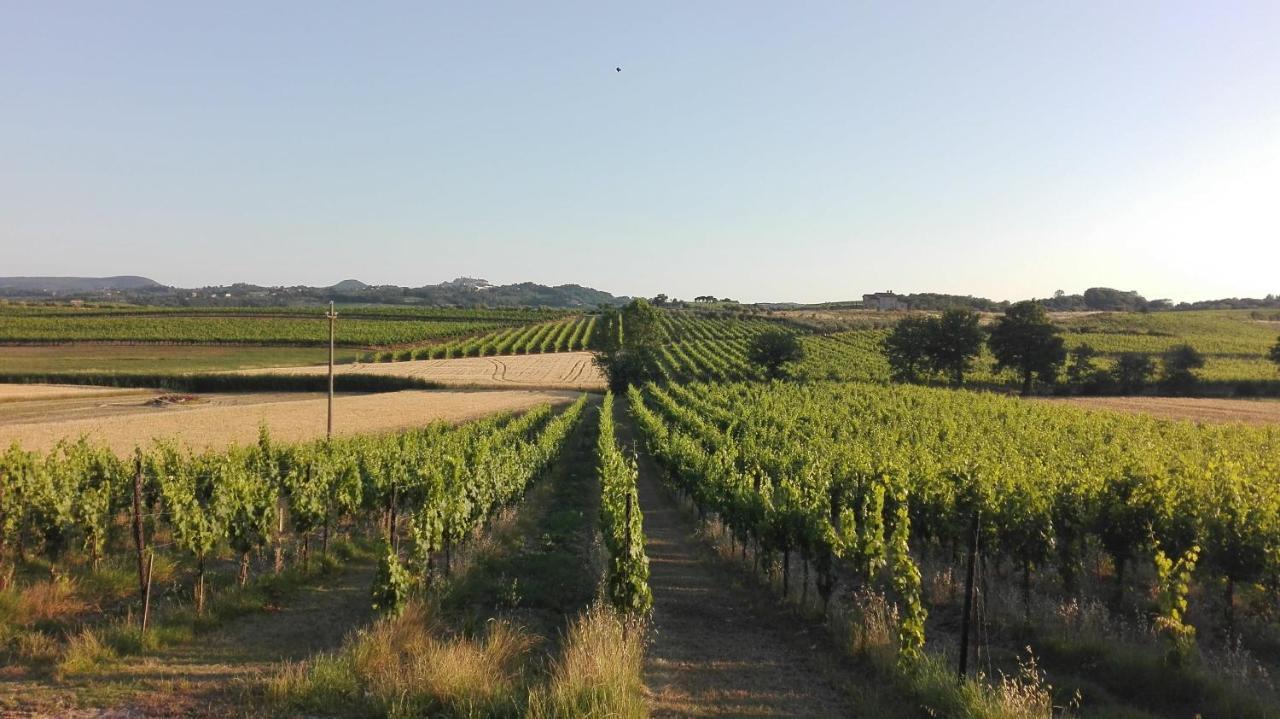 Agriturismo La Chiesina Abbadia di Montepulciano Exterior photo